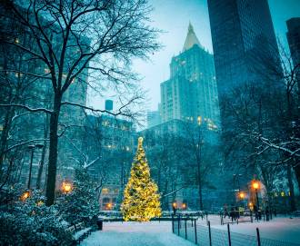 Nova godina New York  i Washington deluxe