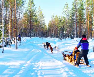 Laponska avantura i dom Djeda Božićnjaka