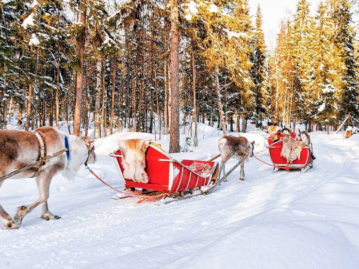 Rovaniemi u Laponiji - praktični savjeti za putovanje