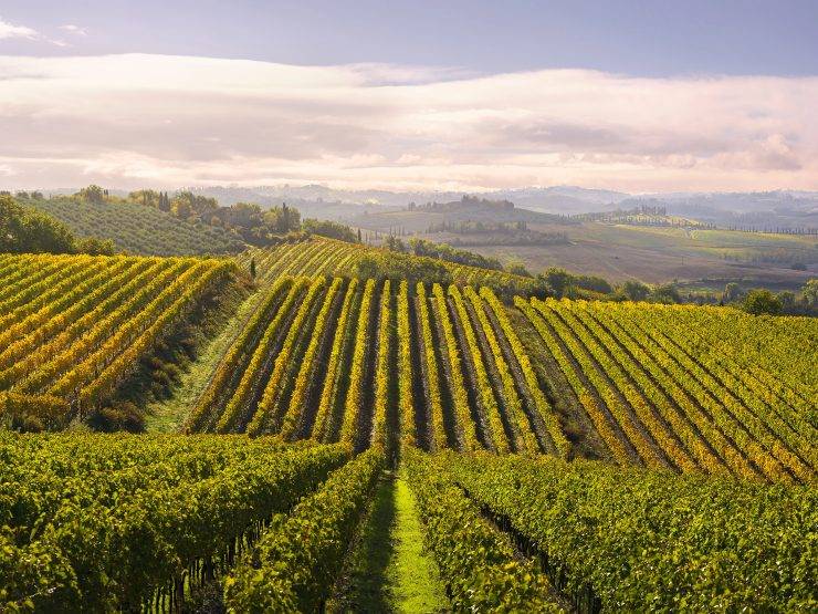 Chianti: toskanski brežuljci, kamena naselja i priča o crnom pijetlu