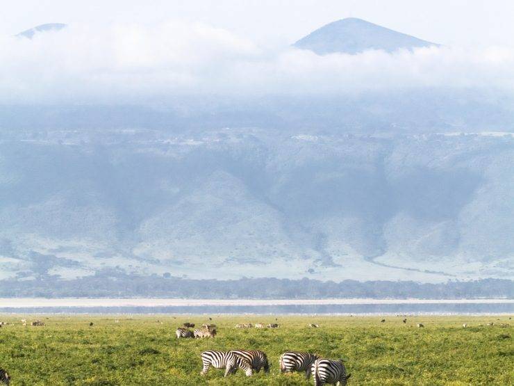 Krater Ngorongoro: kako je vulkan postao stanište divljih životinja