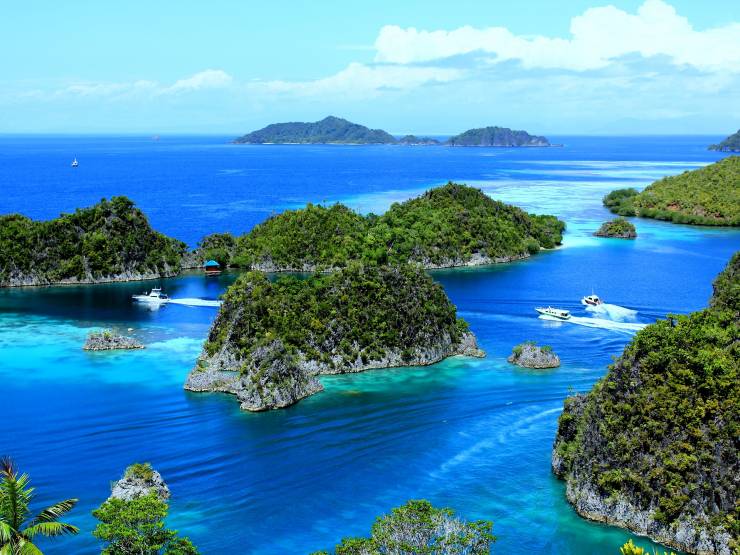 Raja Ampat - Indonezija