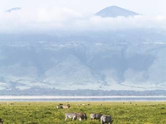 Krater Ngorongoro: kako je vulkan postao stanište divljih životinja